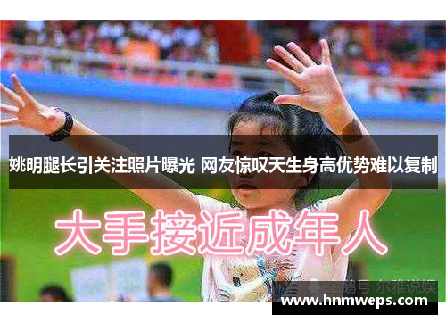 姚明腿长引关注照片曝光 网友惊叹天生身高优势难以复制